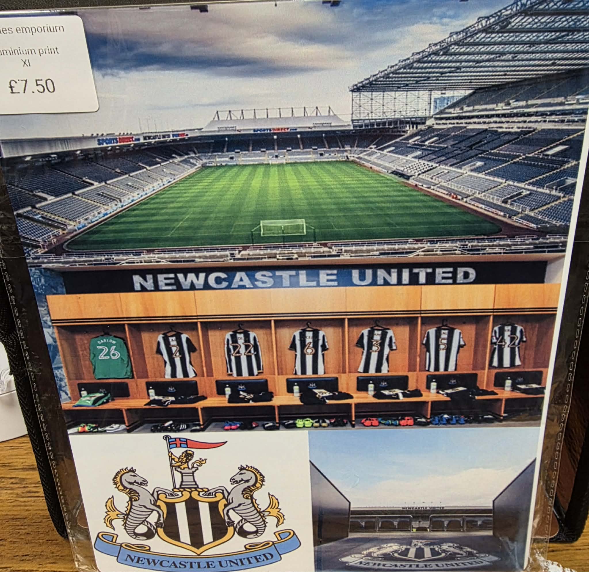 8"X12" Aluminium Football Plaque.