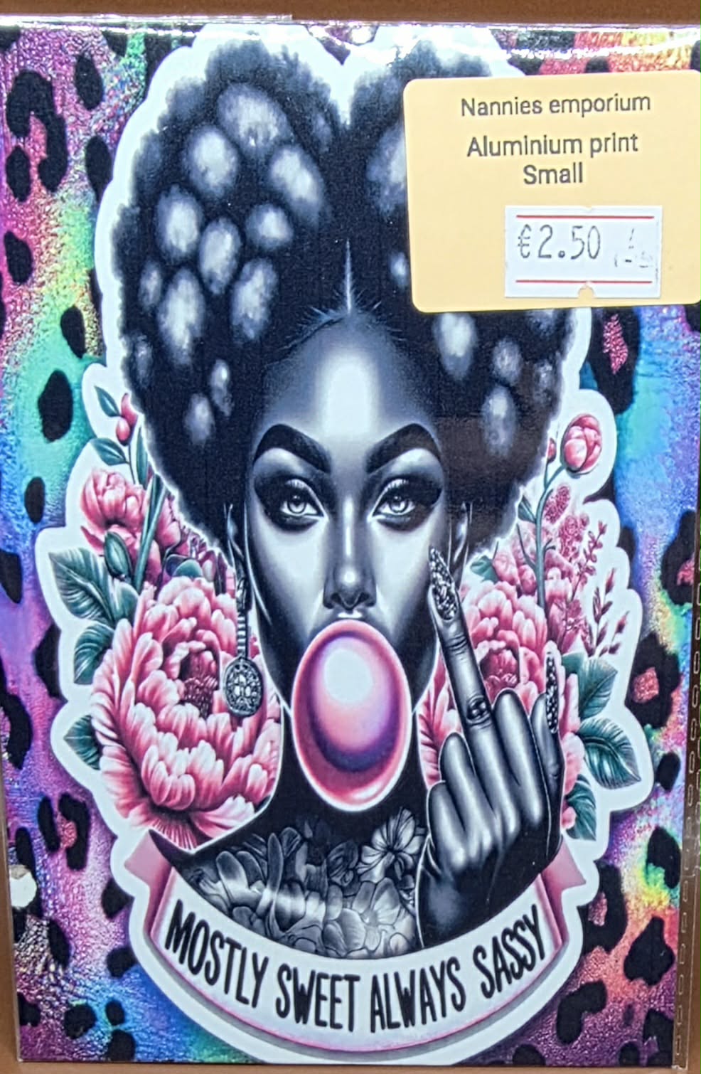 4” x 6” Aluminium Pictures (Sassy)