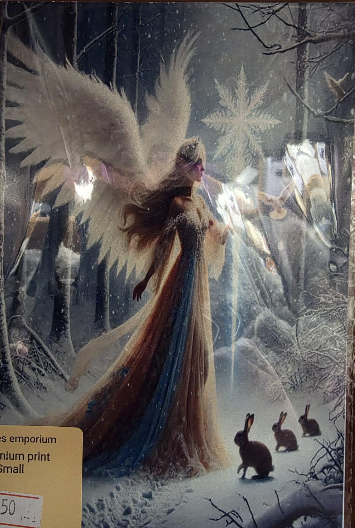 4” x 6” Aluminium pictures (Mystical)