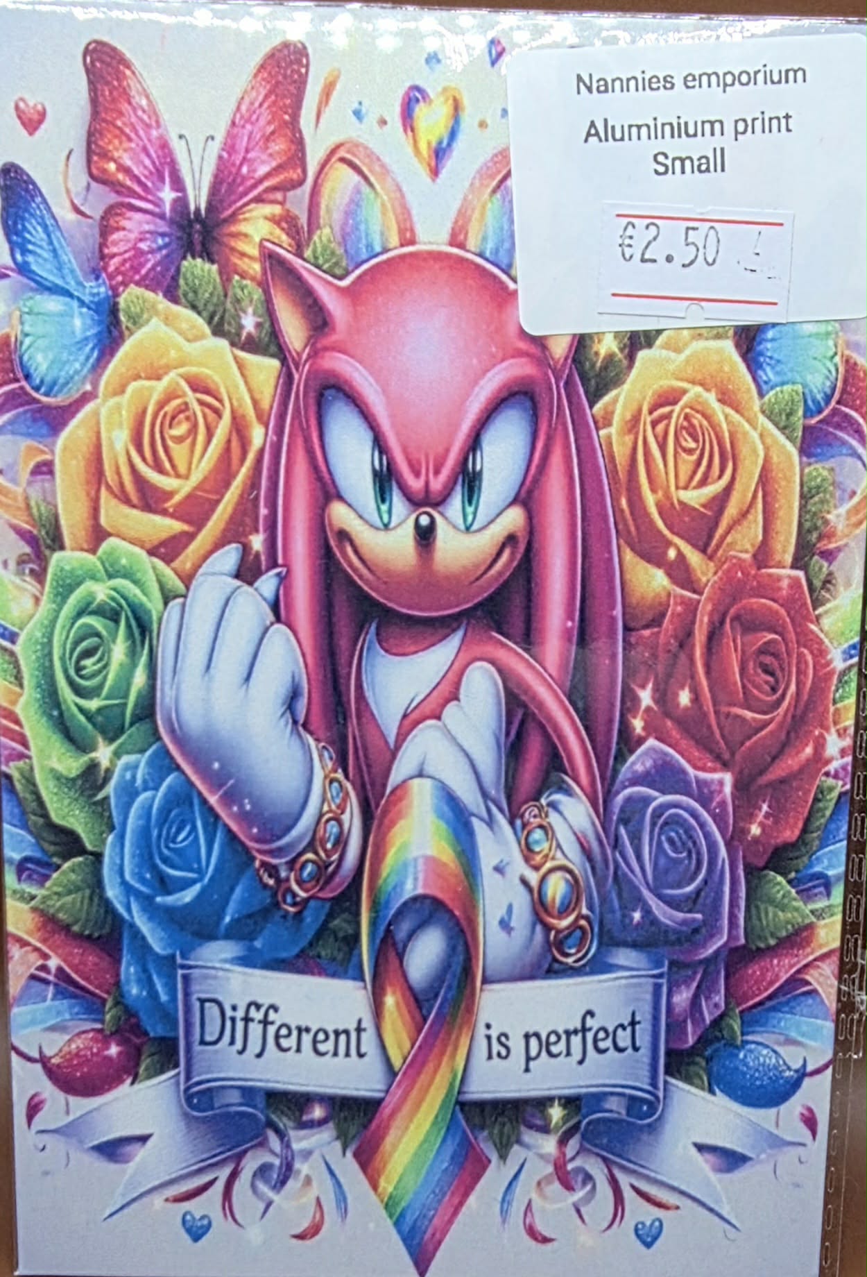 4” x 6” Aluminium Pictures (Different is Perfect)