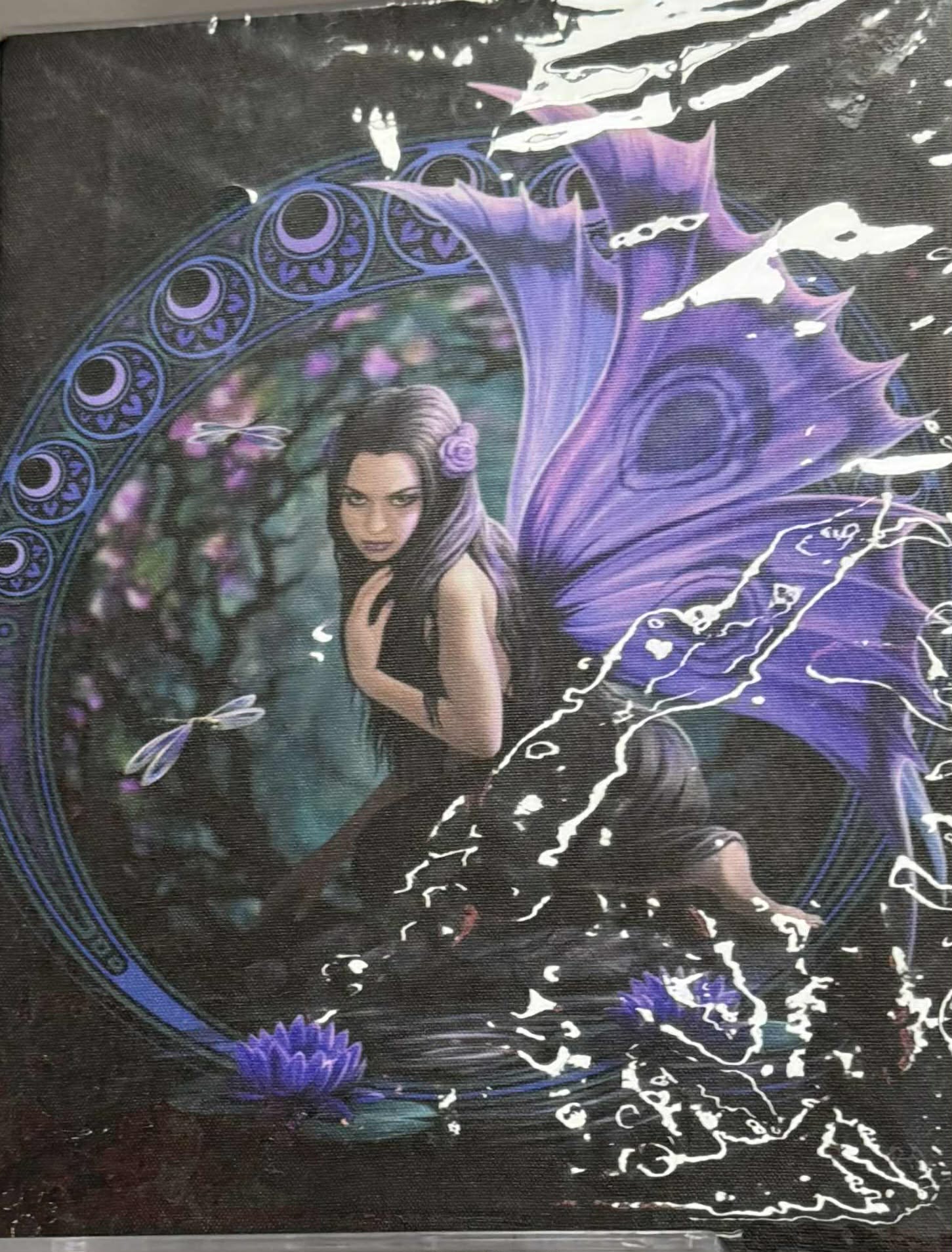 Anne Stokes Canvases.
