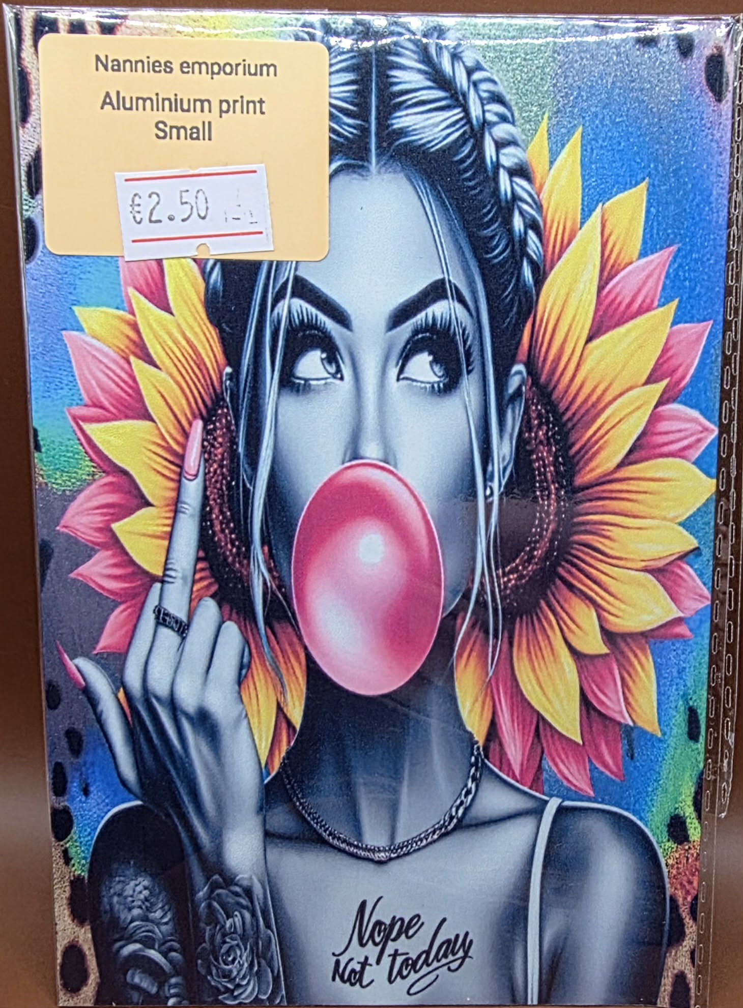 4” x 6” Aluminium Pictures (Sassy)