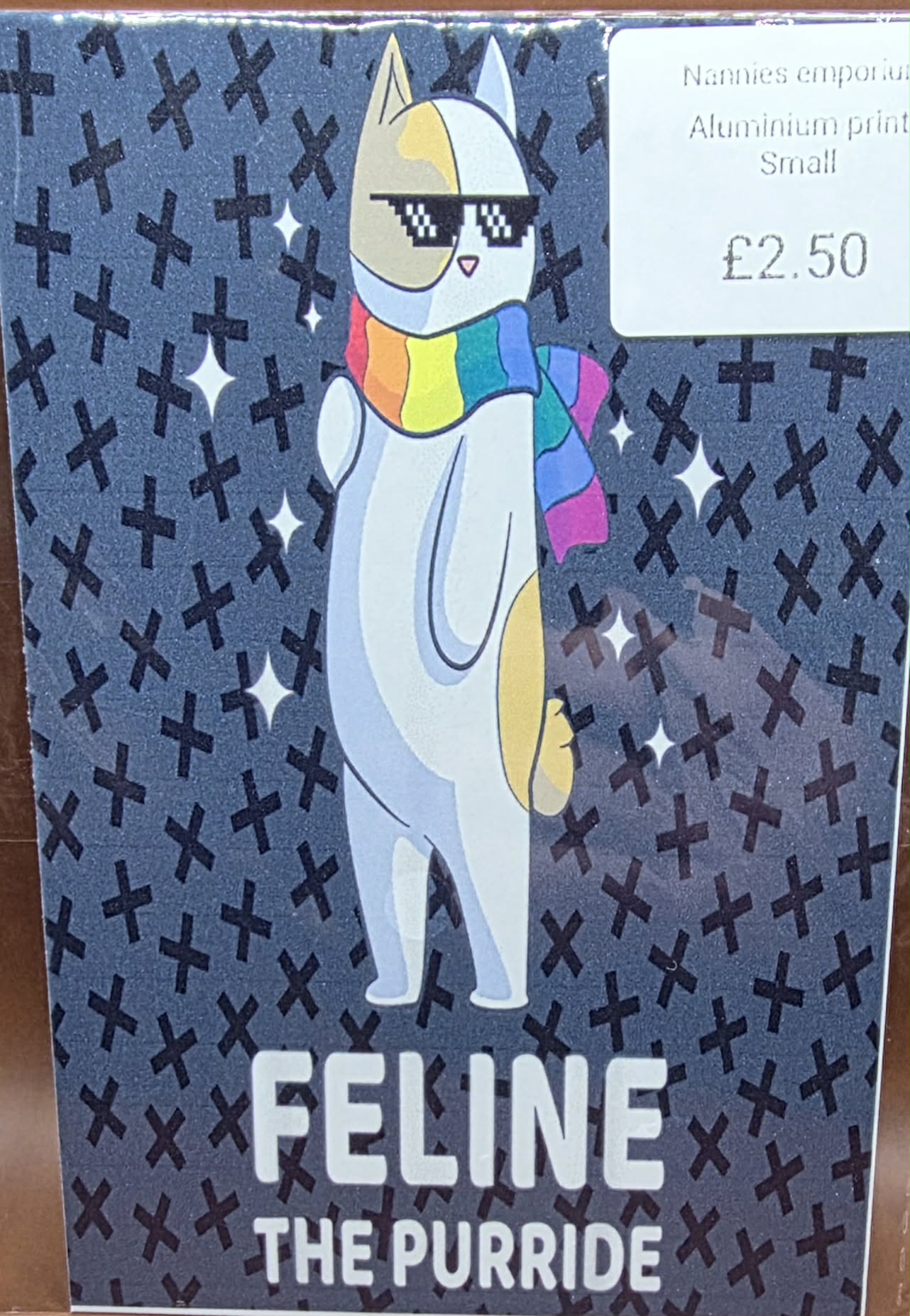 4” x 6” Aluminium Pictures (Pride)