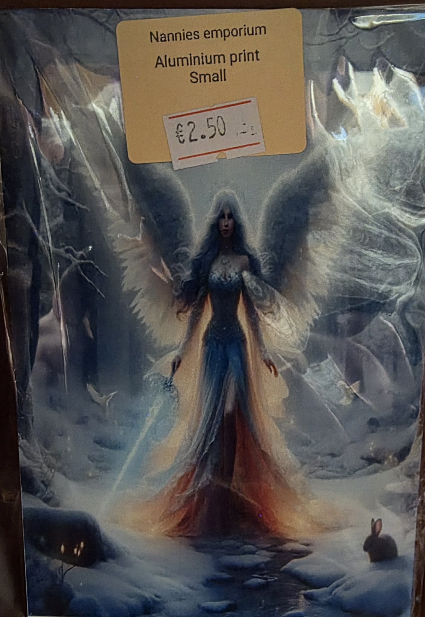 4” x 6” Aluminium pictures (Mystical)