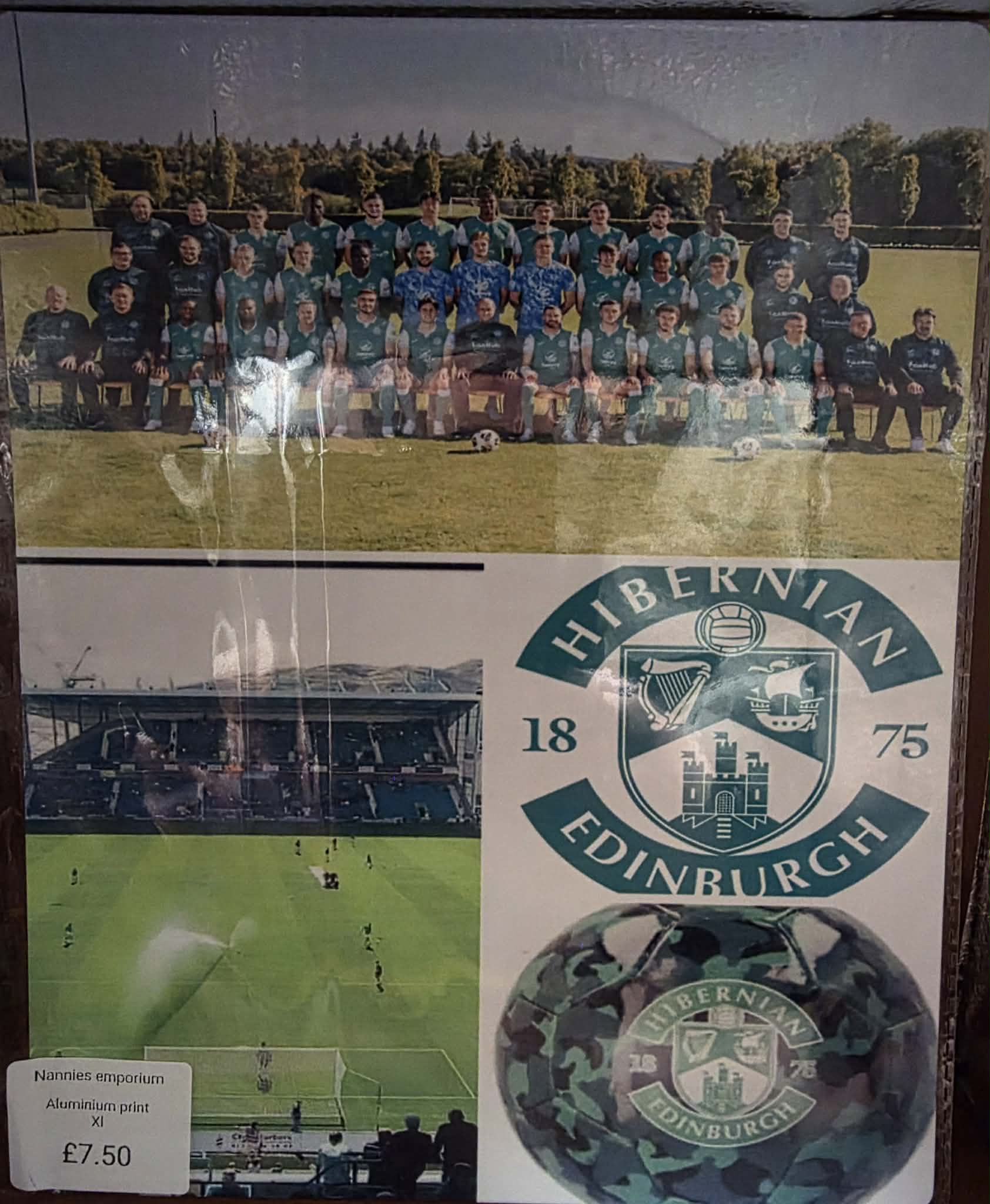 8"X12" Aluminium Football Plaque.