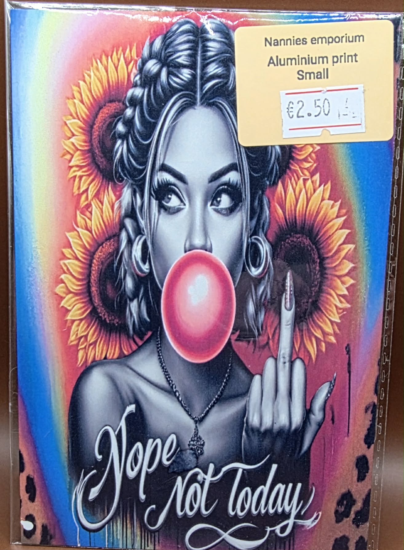 4” x 6” Aluminium Pictures (Sassy)