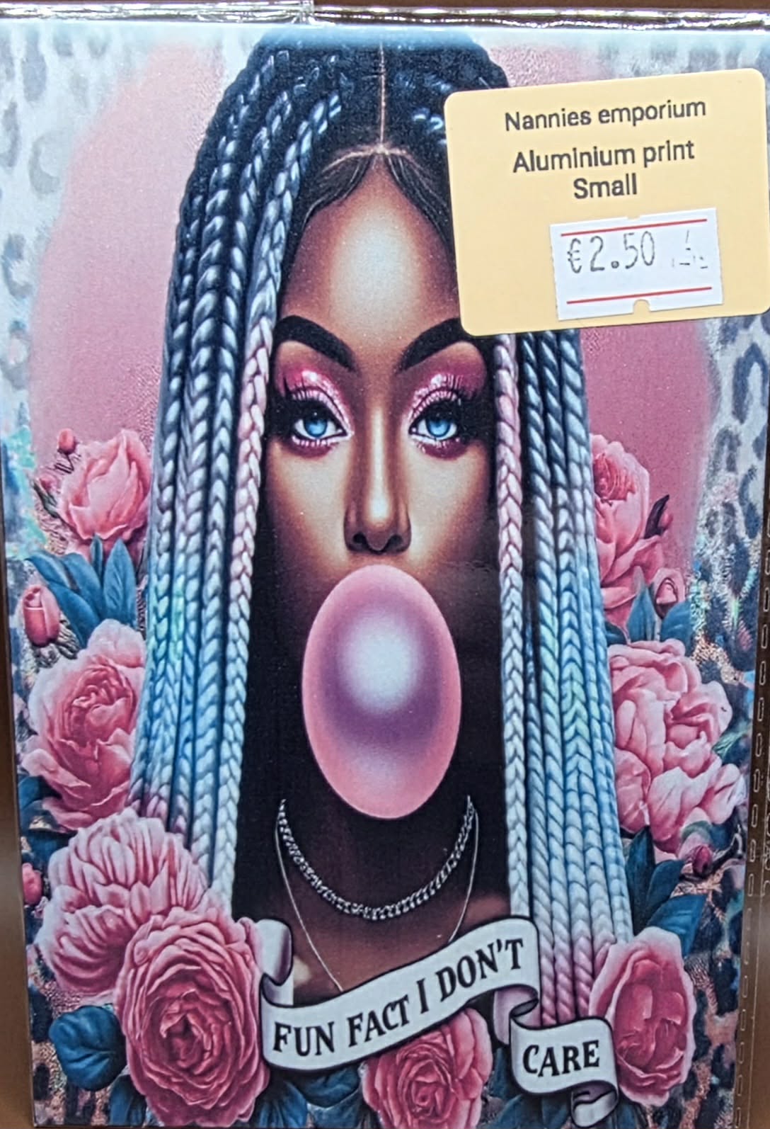 4” x 6” Aluminium Pictures (Sassy)