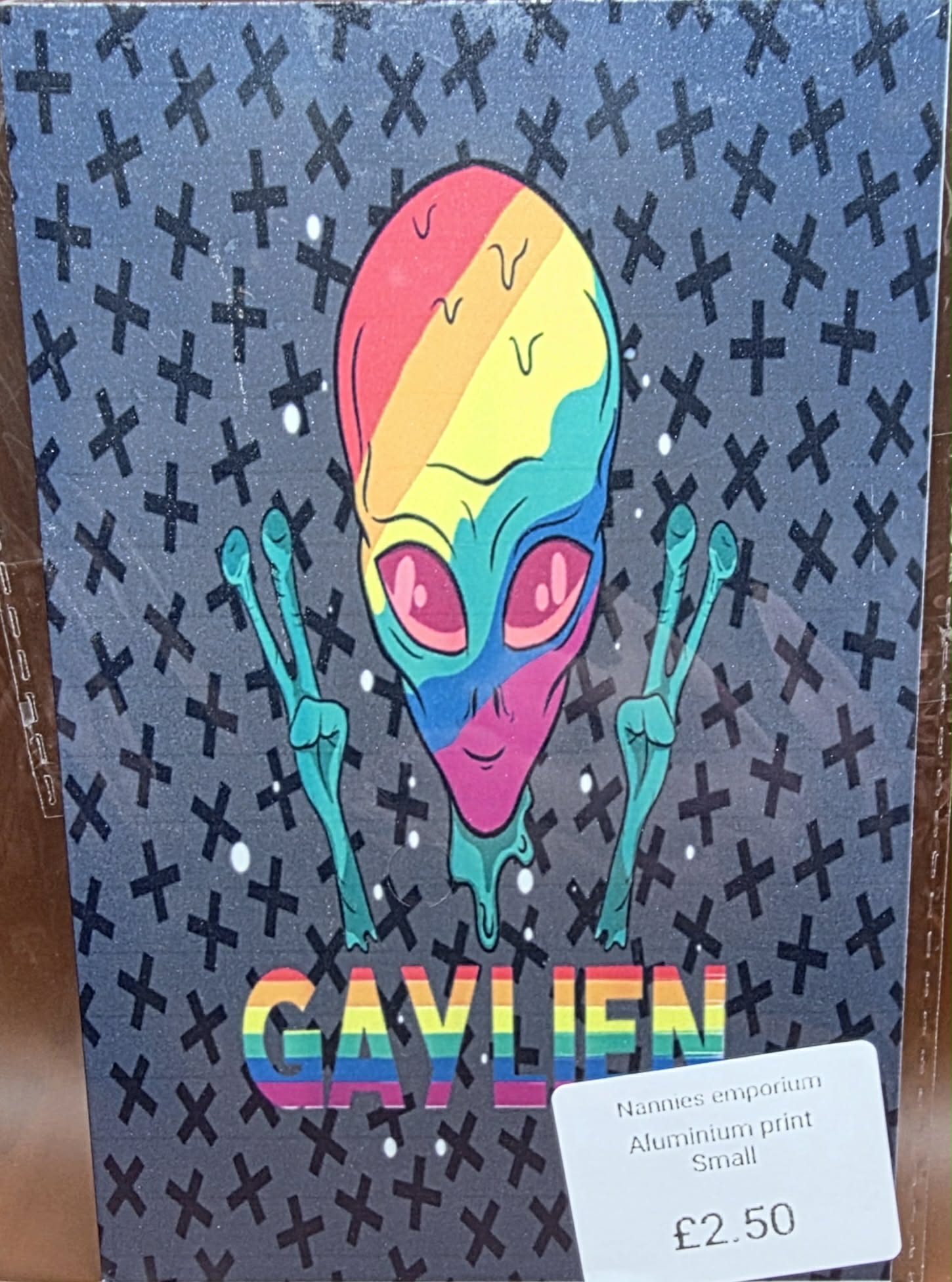 4” x 6” Aluminium Pictures (Pride)