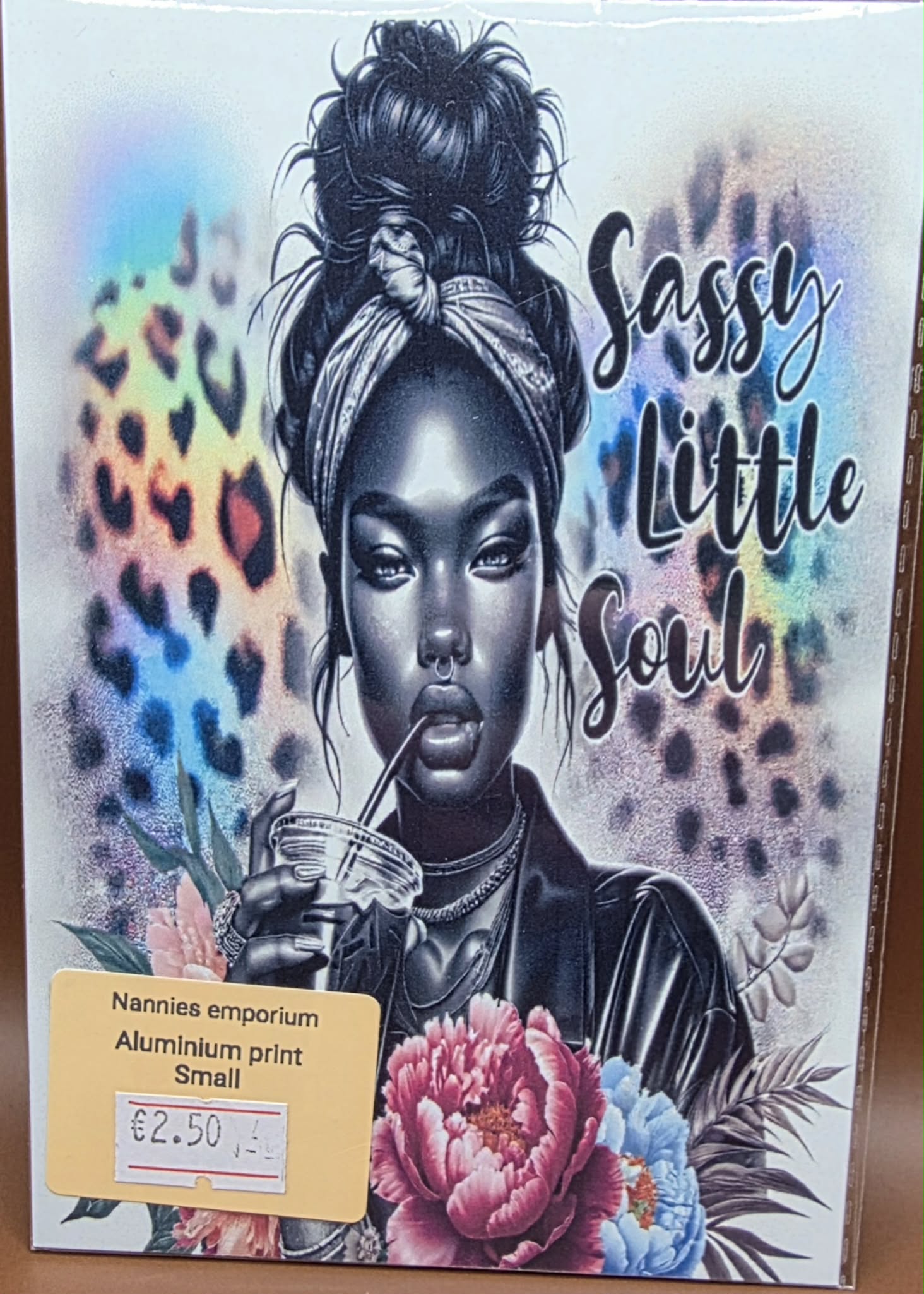 4” x 6” Aluminium Pictures (Sassy)
