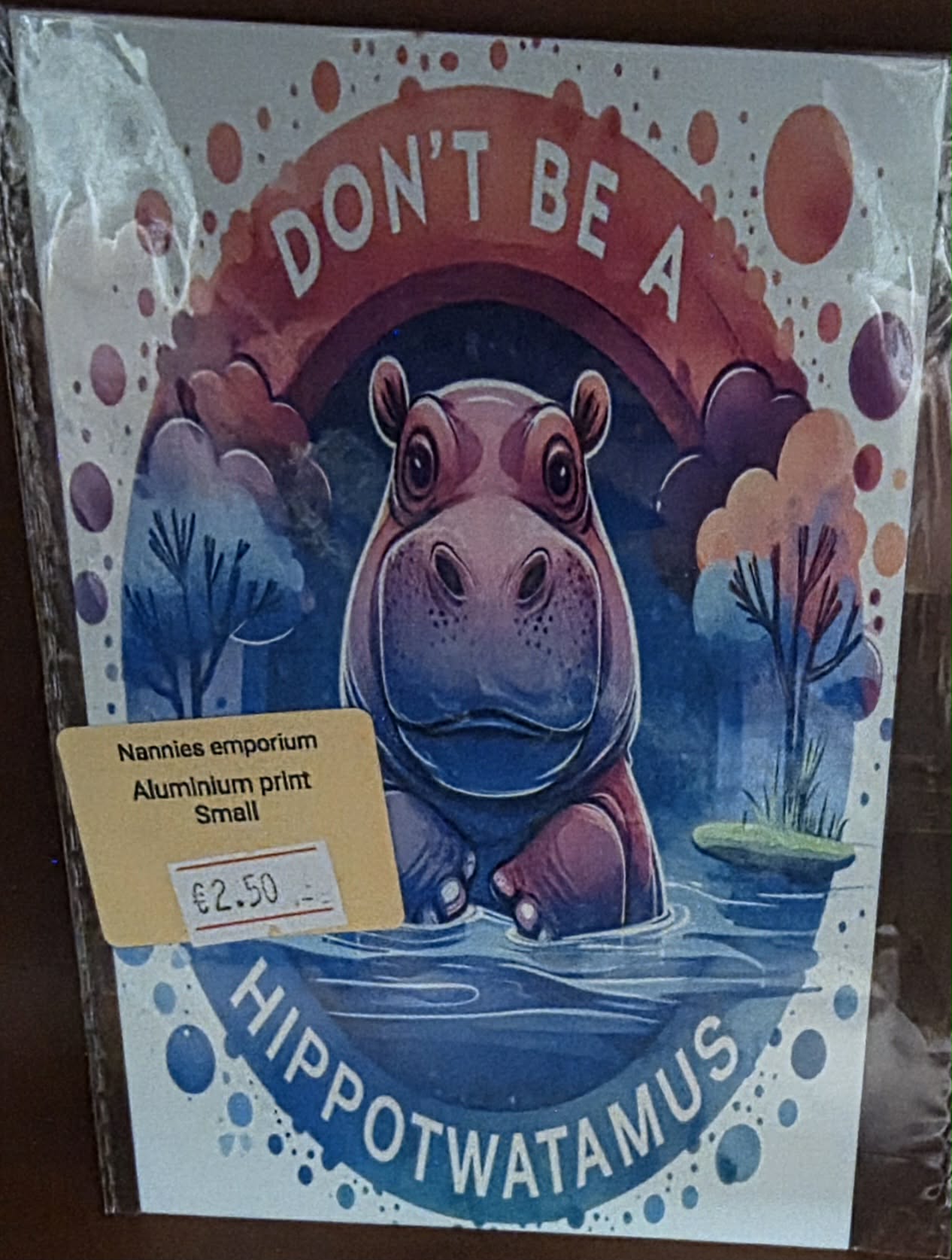 4” x 6” Aluminium Pictures (ADULTS ONLY)