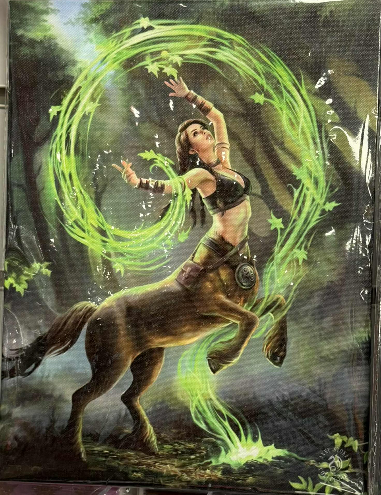 Anne Stokes Canvases.