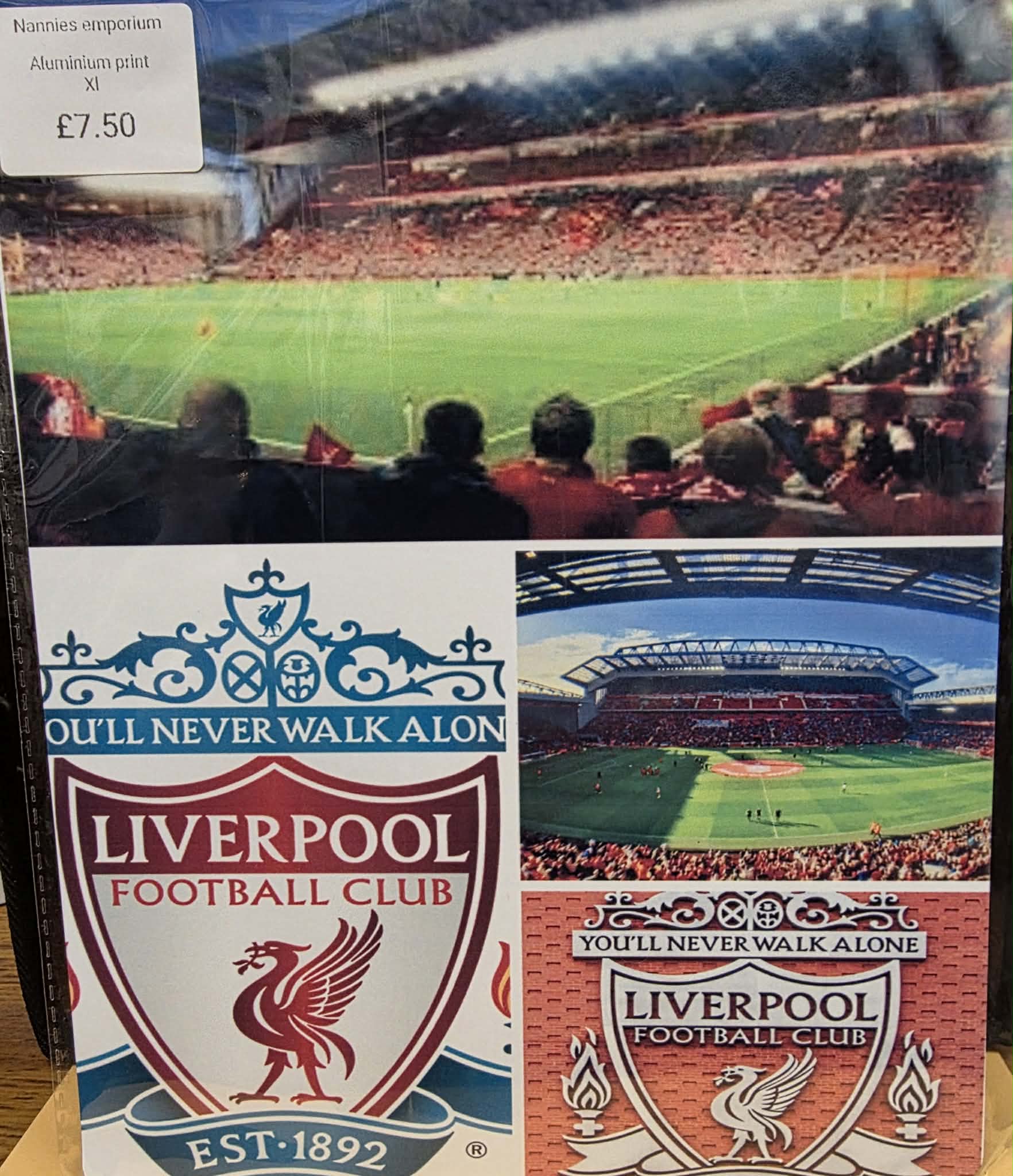 8"X12" Aluminium Football Plaque.