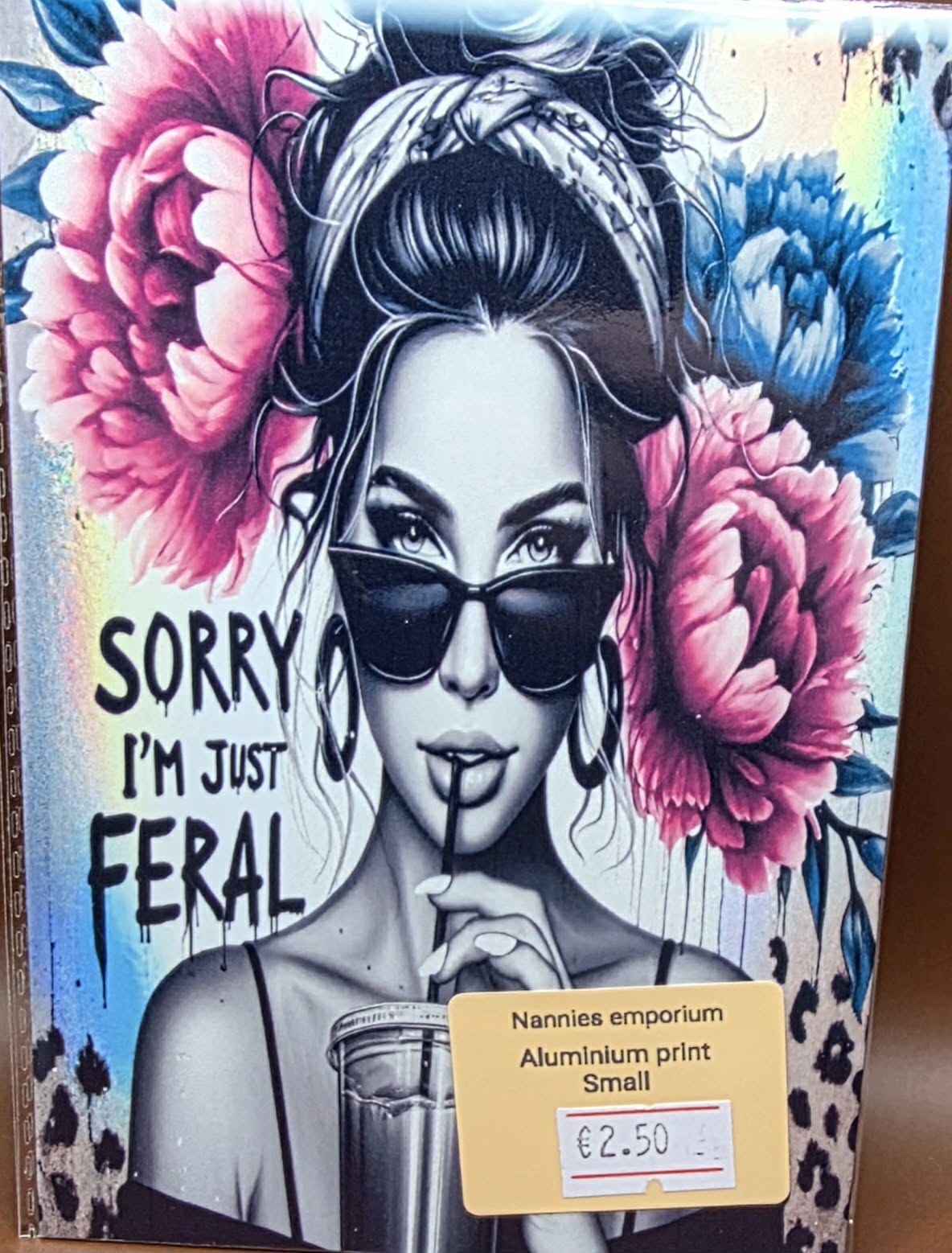 4” x 6” Aluminium Pictures (Sassy)