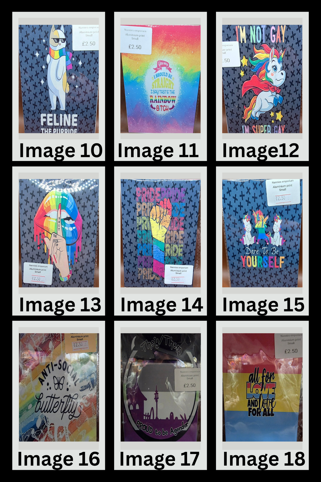 4” x 6” Aluminium Pictures (Pride)